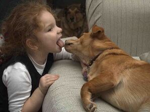Το παιδί φιλά τον σκύλο και μολύνεται από παράσιτα